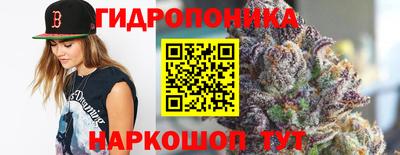 МДПВ Моздок