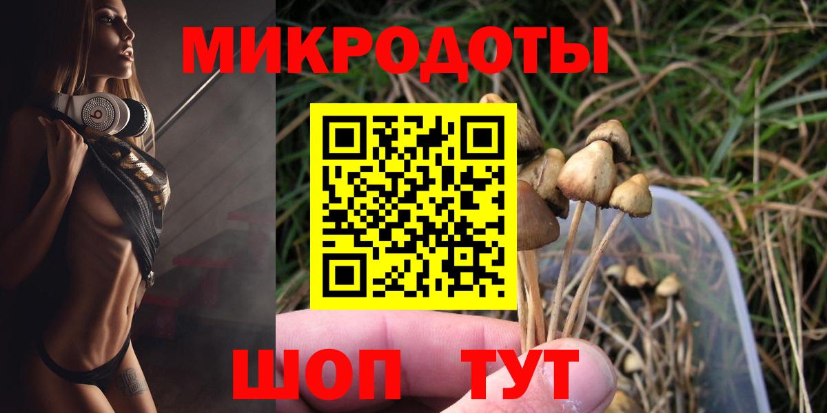 Псилоцибиновые грибы Cubensis  Галлюциногенные грибы Psilocybine cubensis  Черногорск  Вход с VPN 